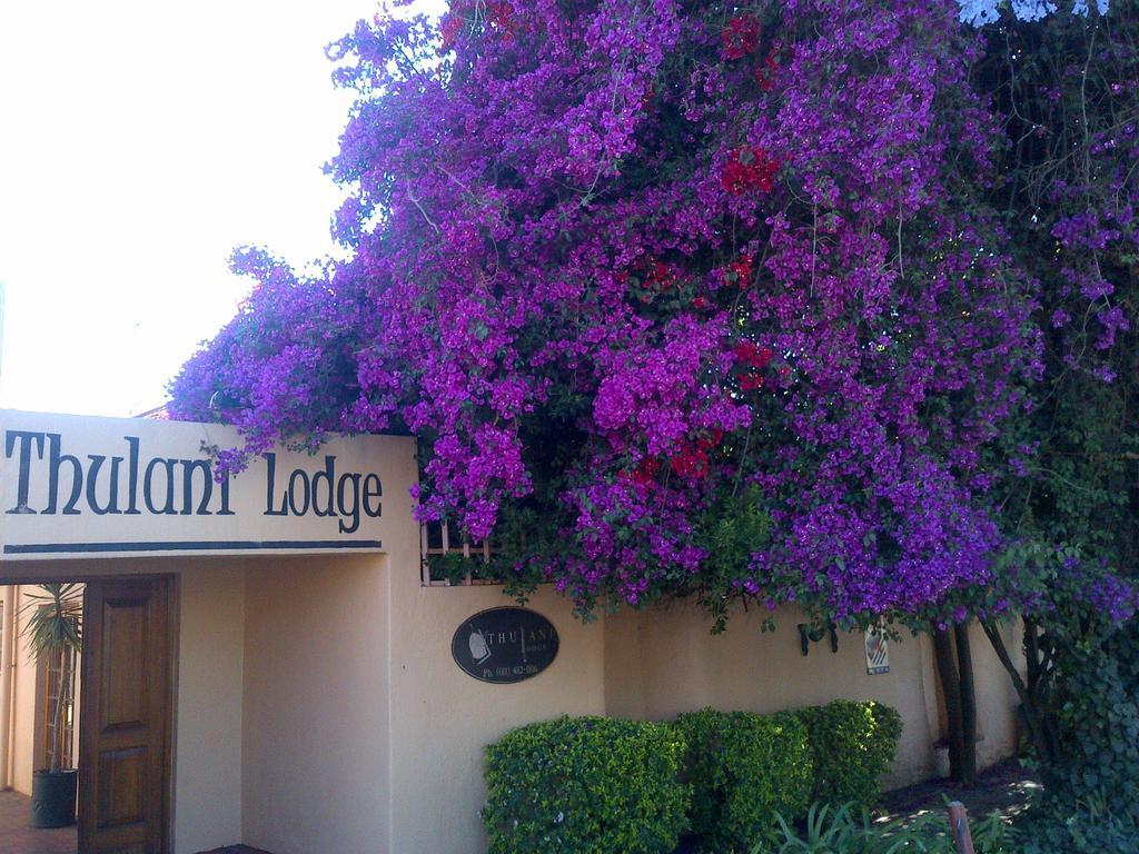 יוהנסבורג Thulani Lodge מראה חיצוני תמונה